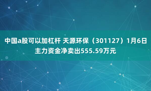 中国a股可以加杠杆 天源环保（301127）1月6日主力资金净卖出555.59万元