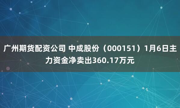 广州期货配资公司 中成股份（000151）1月6日主力资金净卖出360.17万元