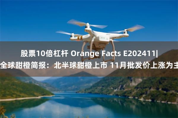 股票10倍杠杆 Orange Facts E202411| 全球甜橙简报：北半球甜橙上市 11月批发价上涨为主