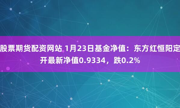 股票期货配资网站 1月23日基金净值：东方红恒阳定开最新净值0.9334，跌0.2%