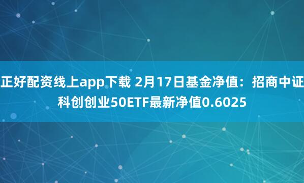 正好配资线上app下载 2月17日基金净值：招商中证科创创业50ETF最新净值0.6025